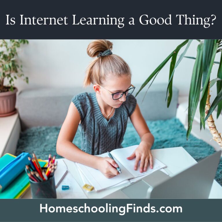 Internet Connection Learning Is Internet Learning a Good Thing? - HomeschoolingFinds.com
